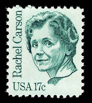 Rachel Carson & the Modern Environmental Movement