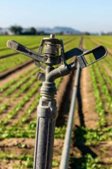Efficient Irrigation: Prominent Sprinkler in a Blurred Field