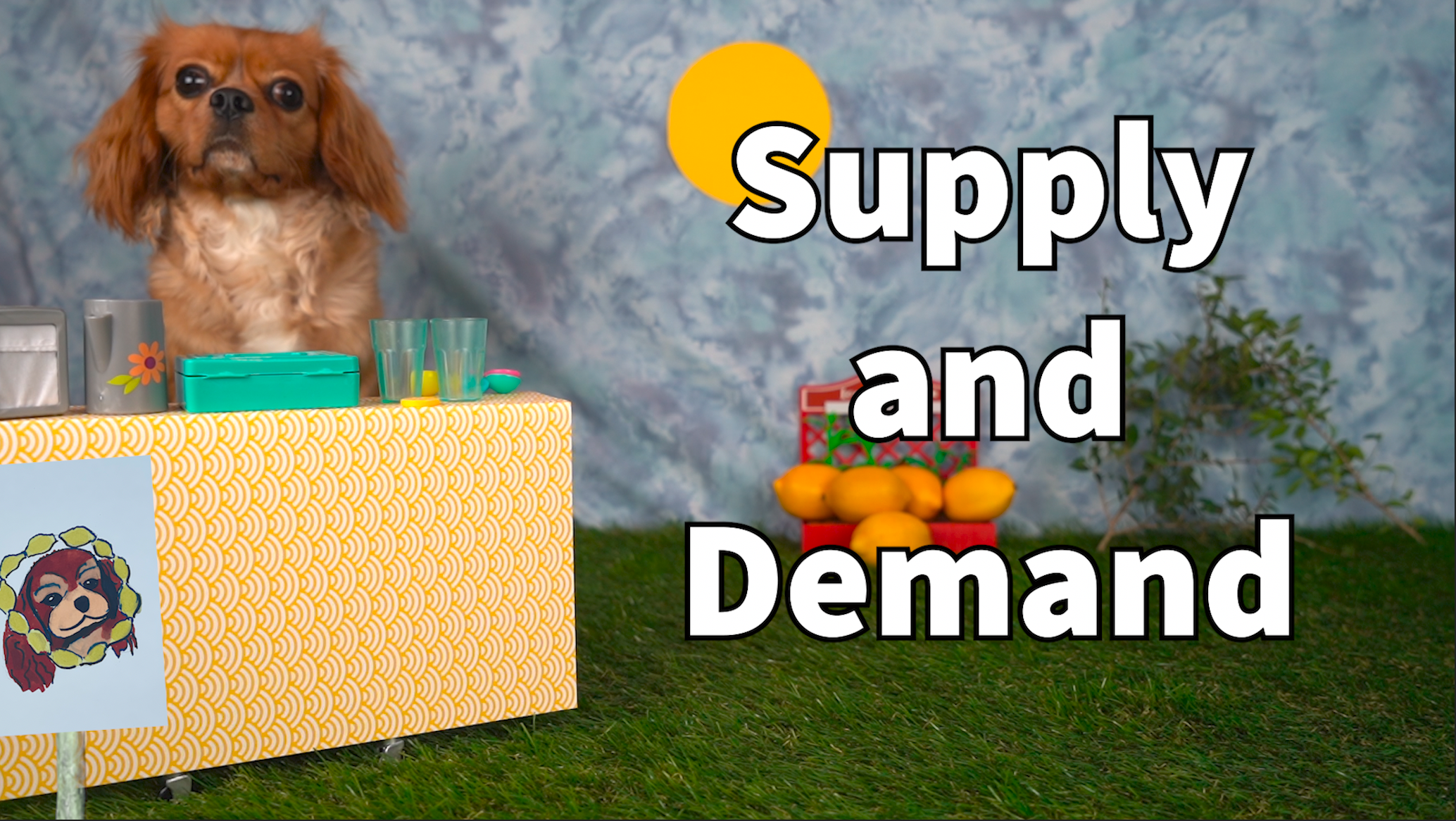 Supply and Demand Lesson